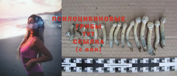 прущая мука Зеленодольск