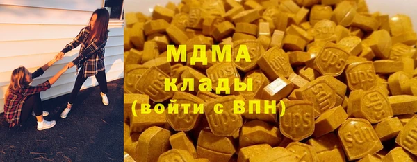 прущие грибы Инта